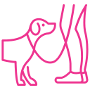 dog-training